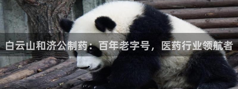 九游会老哥俱乐部：白云山和济公制药：百年老字号，医药行业领航者
