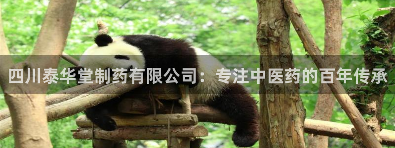 老哥俱乐部是干什么的啊：四川泰华堂制药有限公司：专注中医药的百年传承