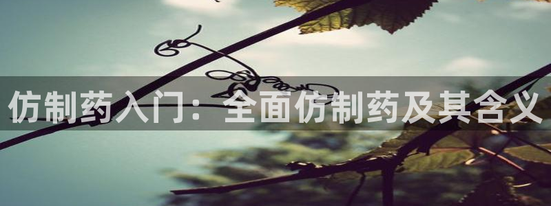 九游老哥俱乐部登录：仿制药入门：全面仿制药及其含义
