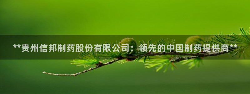 九游会老哥：**贵州信邦制药股份有限公司：领先的中国制药提供商**