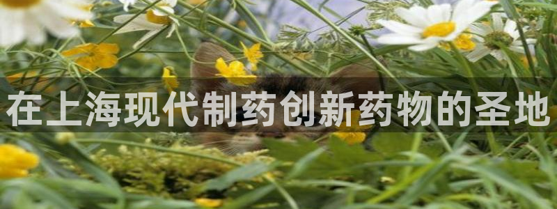 老哥俱乐部是干什么的：在上海现代制药创新药物的圣地