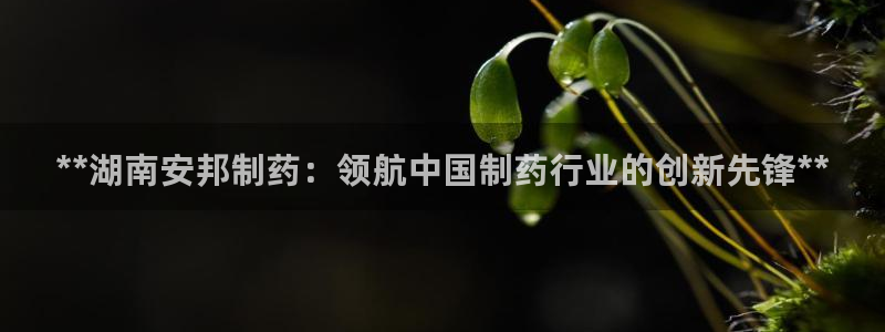 九游老哥俱乐部官网登录网址：**湖南安邦制药：领航中国制药行业的创新先锋**