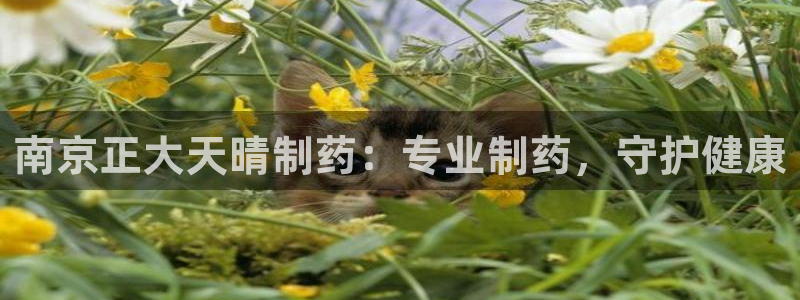 九游老哥俱乐部官网登录：南京正大天晴制药：专业制药，守护健康