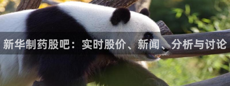九游会老哥俱乐部：新华制药股吧：实时股价、新闻、分析与讨论