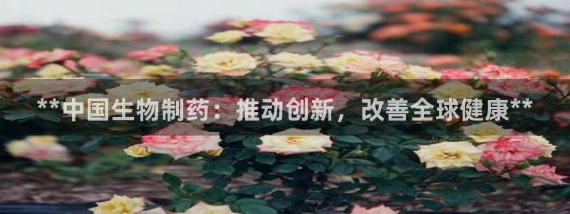 老哥吧九游会下架吗