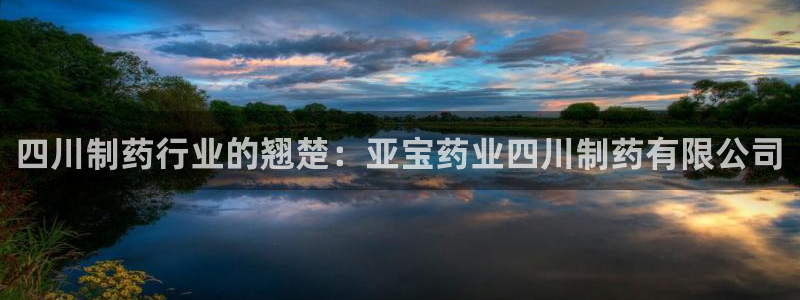 九游老哥俱乐部官网登录入口：四川制药行业的翘楚：亚宝药业四川制药有限公司