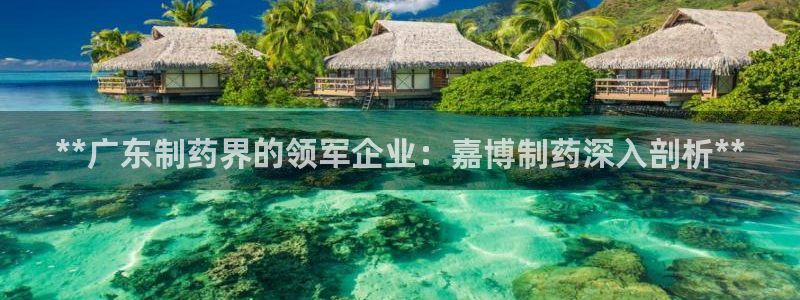 j9九游会老哥俱乐部交流区：**广东制药界的领军企业：嘉博制药深入剖析**