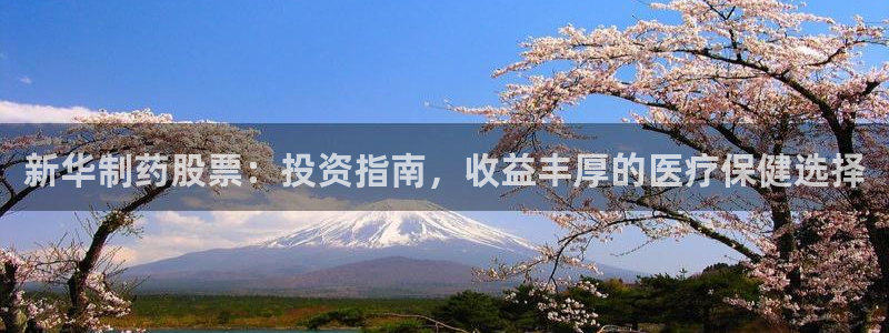 老哥吧九游会：新华制药股票：投资指南，收益丰厚的医疗保健选择