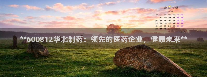 九游会老哥俱乐部：**600812华北制药：领先的医药企业，健康未来**