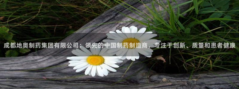 九游会老哥俱乐部官方网站：成都地奥制药集团有限公司：领先的中国制药制造商，专注于创新、质量和患者健康