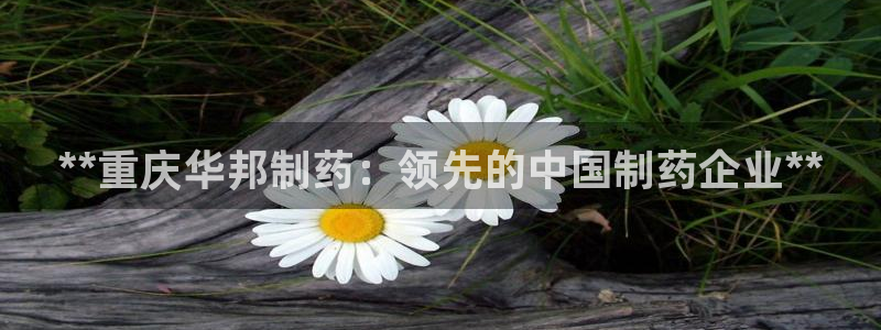 九游会老哥俱乐部社区论坛：**重庆华邦制药：领先的中国制药企业**