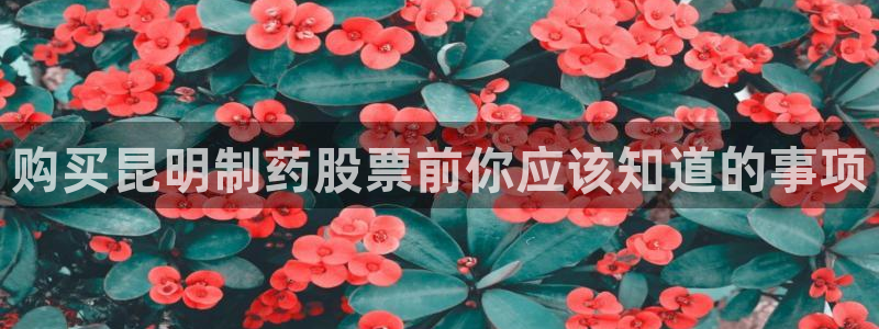 老哥吧九游会下架吗：购买昆明制药股票前你应该知道的事项