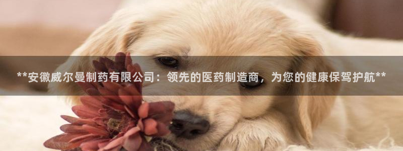 9游会老哥：**安徽威尔曼制药有限公司：领先的医药制造商，为您的健康保驾护航**