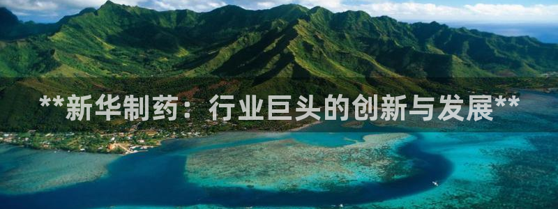 ag九游会老哥俱乐部：**新华制药：行业巨头的创新与发展**