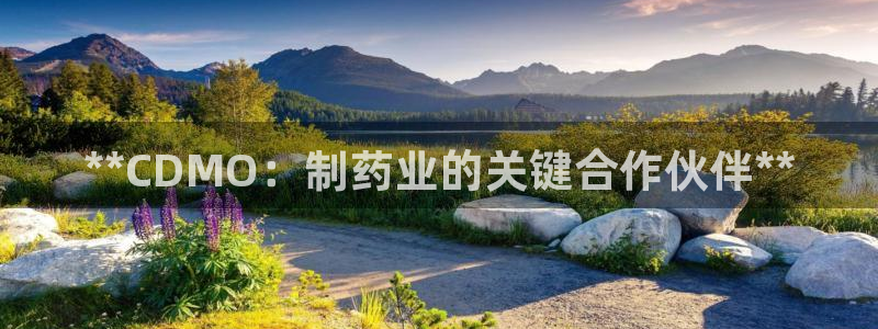 老哥吧九游会：**CDMO：制药业的关键合作伙伴**