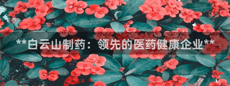 九游会老哥俱乐部必备的交流社区：**白云山制药：领先的医药健康企业**