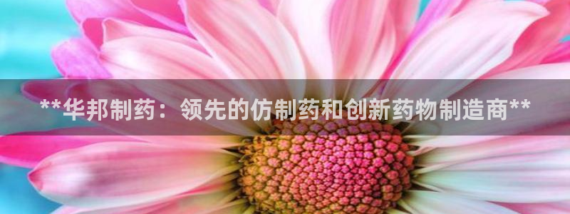 九游会老哥俱乐部官方网站：**华邦制药：领先的仿制药和创新药物制造商**