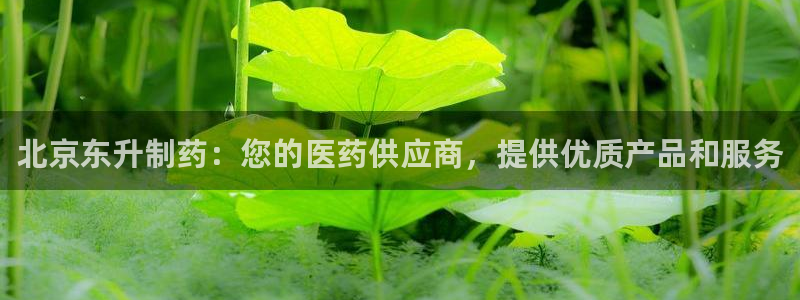 ag九游会老哥俱乐部：北京东升制药：您的医药供应商，提供优质产品和服务