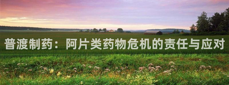 ag九游老哥俱乐部：普渡制药：阿片类药物危机的责任与应对