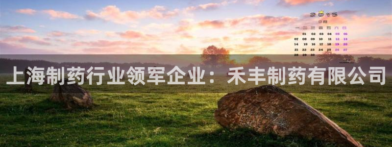 九游会老哥俱乐部：上海制药行业领军企业：禾丰制药有限公司