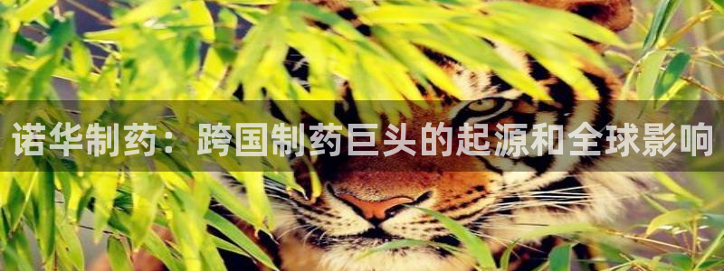 老哥俱乐部是干什么的：诺华制药：跨国制药巨头的起源和全球影响