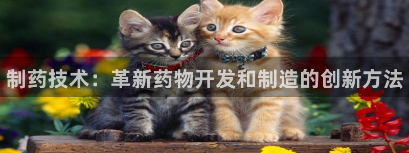 九游会老哥：制药技术：革新药物开发和制造的创新方法