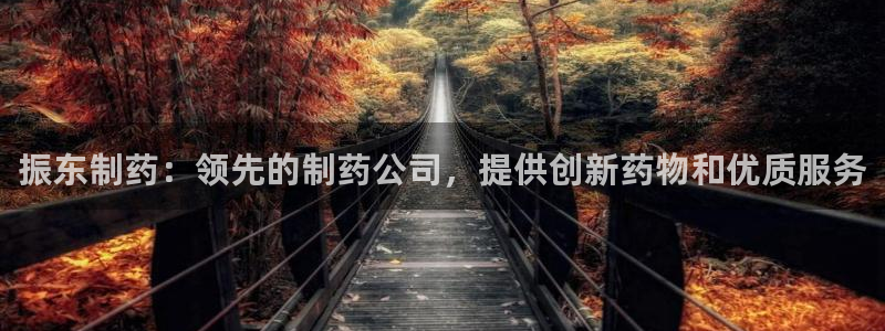 九游会老哥必备的交流社区：振东制药：领先的制药公司，提供创新药物和优质服务
