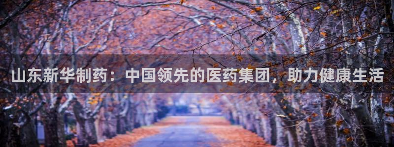 九游老哥俱乐部官网登录网址：山东新华制药：中国领先的医药集团，助力健康生活