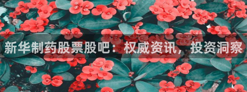 九游老哥俱乐部官网登录入口：新华制药股票股吧：权威资讯，投资洞察