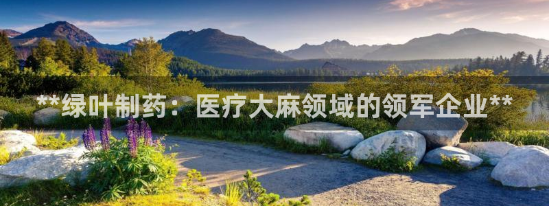 九游会老哥俱乐部：**绿叶制药：医疗大麻领域的领军企业**