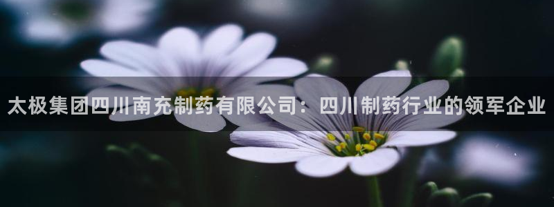 九游会老哥俱乐部必备的交流社区论坛：太极集团四川南充制药有限公司：四川制药行业的领军企业