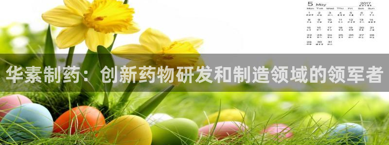 九游会老哥俱乐部官网：华素制药：创新药物研发和制造领域的领军者