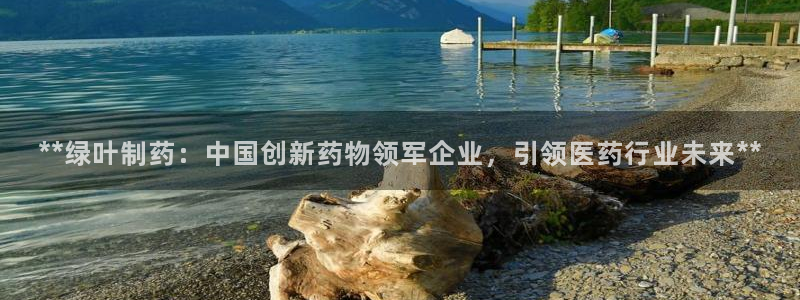 九游会老哥必备的交流社区：**绿叶制药：中国创新药物领军企业，引领医药行业未来**