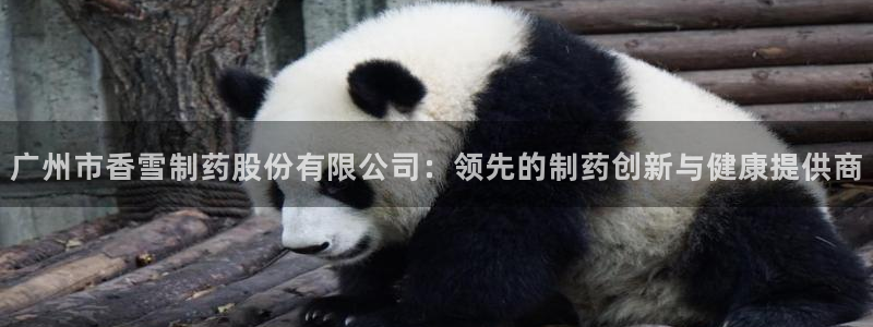 九游会老哥俱乐部：广州市香雪制药股份有限公司：领先的制药创新与健康提供商