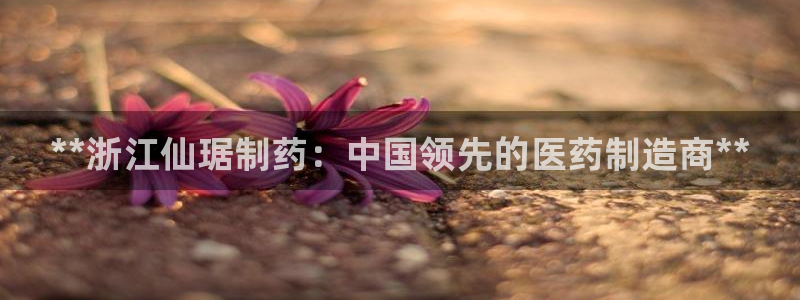 ag九游会老哥