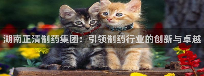 ag九游老哥俱乐部：湖南正清制药集团：引领制药行业的创新与卓越