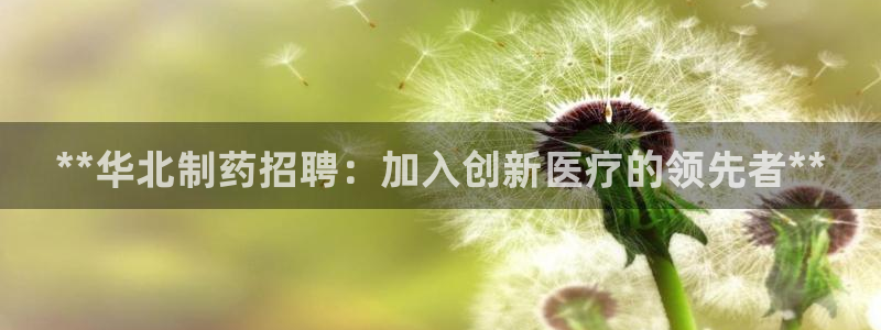 9游会老哥俱乐部：**华北制药招聘：加入创新医疗的领先者**