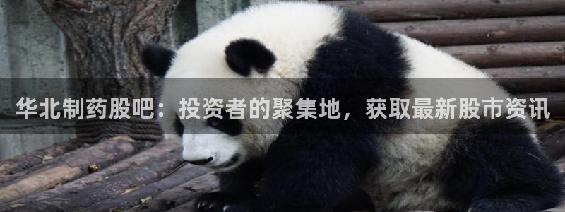 九游会老哥俱乐部必备的交流社区论坛