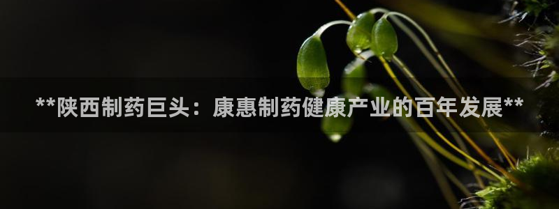 九游老哥俱乐部官网登录网址：**陕西制药巨头：康惠制药健康产业的百年发展**