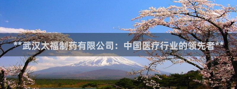 九游会老哥俱乐部