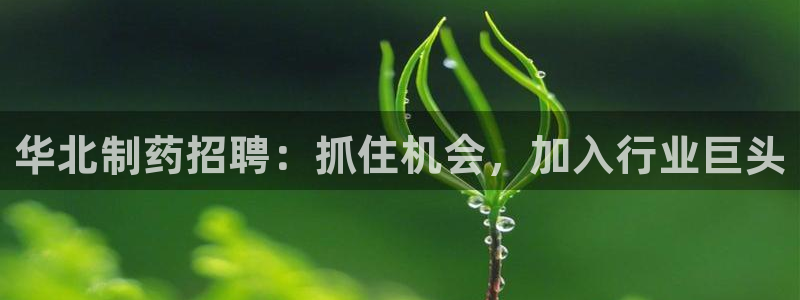 老哥吧九游会