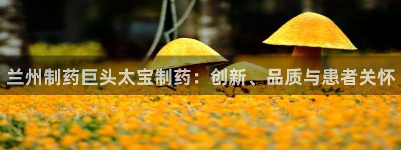 九游老哥俱乐部官网登录：兰州制药巨头太宝制药：创新、品质与患者关怀