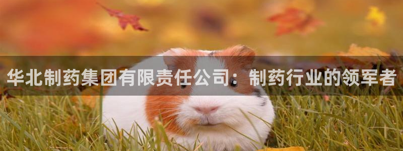 老哥吧九游会：华北制药集团有限责任公司：制药行业的领军者