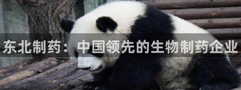 九游会老哥俱乐部社区论坛：东北制药：中国领先的生物制药企业