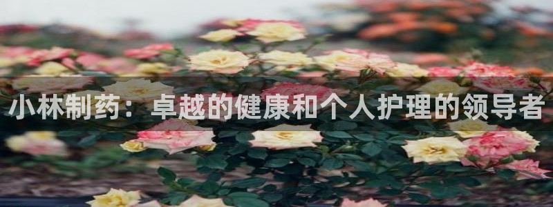 九游会老哥必备的交流社区九：小林制药：卓越的健康和个人护理的领导者