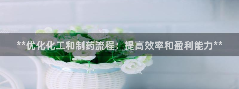 ag九游老哥俱乐部：**优化化工和制药流程：提高效率和盈利能力**