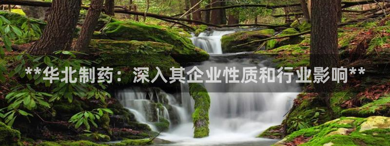 九游会老哥必备的交流社区：**华北制药：深入其企业性质和行业影响**