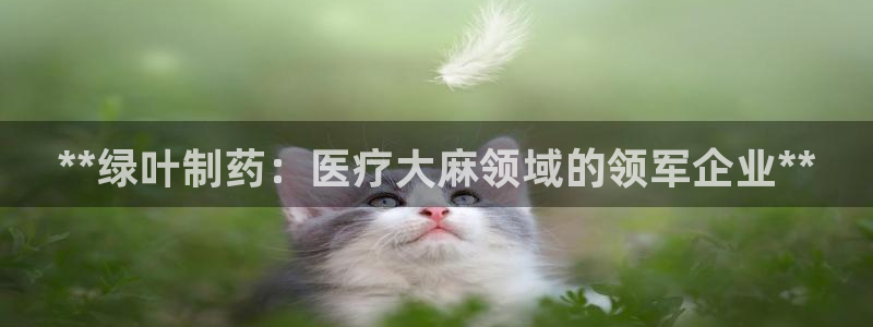 j9九游会老哥俱乐部交流区