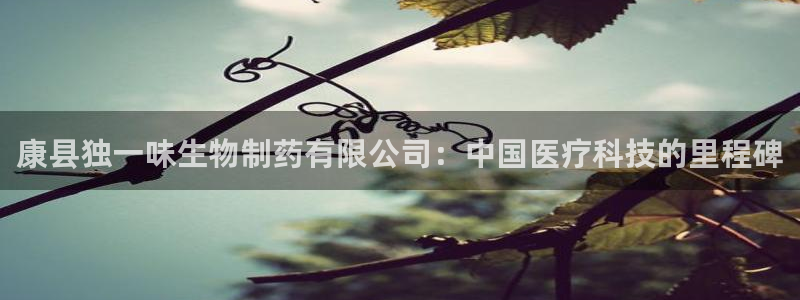 九游会老哥俱乐部社区论坛：康县独一味生物制药有限公司：中国医疗科技的里程碑