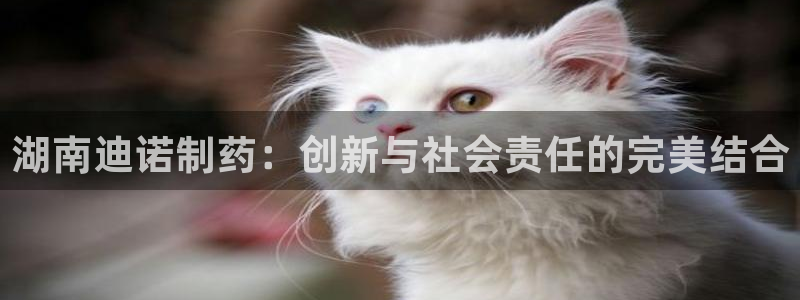 九游会老哥必备的交流社区九